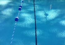 Российская представительница в прыжках в воду Елена Смирнова уверенно выиграла «золото» на 3-метровом трамплине на чемпионате Европы в Лондоне в Лондоне среди профессионалов и любителей, выиграв у хозяйки турнира