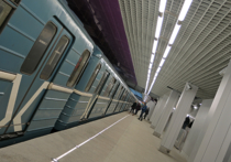 Трое диггеров, пробравшиеся в тоннель, парализовали движение в московской подземке на Серпуховско-Тимирязевской линии в субботу