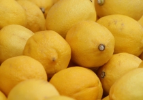 Турция прекратила поставлять в Россию некоторые виды растениеводческой продукции, которая еще не попала под российские санкции