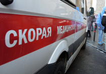 Машинист столичной подземки найден в воскресенье мертвым под окнами жилого дома в Новой Москве