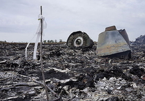 Полиция Швейцарии изъяла документы из банковской ячейки, принадлежащей частному детективу из Германии Йозефу Решу, который провел собственное расследование трагедии рейса MH17, сбитого на востоке Украины два года назад