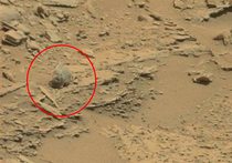 Разглядывая фотографии поверхности Марса, сделанные ровером Curiosity, уфологи заметили необычные очертания, при ближайшем рассмотрении оказавшиеся похожими на череп человекоподобного существа
