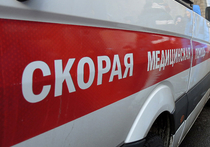 Высокопоставленный чиновник погиб при падении дельтолета в Московской области в субботу