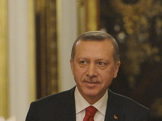 Президент Турции выступил за «заслуженный» уровень отношений