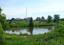 Деревня Каргашино на самом юге Серпуховского района лишена элементарной инфраструктуры и инженерных коммуникаций. Жители деревни требуют сделать дорогу, провести воду и газ