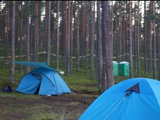 В течение 4 дней  будут проверены все лагеря, в которых отдыхают московские дети