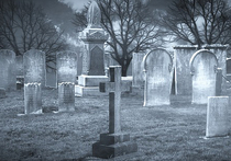 Резервировать места для семейных захоронений через интернет смогут с начала осени подмосковные жители