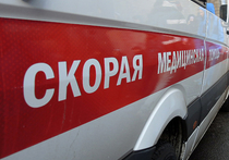 Советник аппарата Комитета Совета Федерации по обороне и безопасности Андрей Шилов едва не погиб, угодив по неосторожности под поезд в столичном метрополитене во вторник