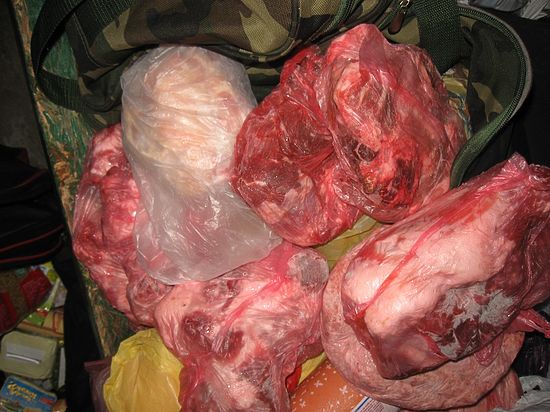 Мелкие торговцы из Украины пытались ввезти в Крым живых и мертвых цыплят