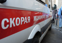 Грудной ребенок был избит своей пьяной матерью в минувшую субботу в   Можайском районе Московской области