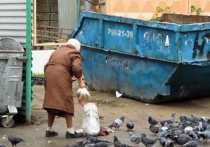 Водители погрузчиков на востоке Москвы получили указание перед выгрузкой мусора внимательно осматривать содержимое помойки на предмет нахождения людей