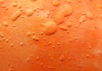 В одном из марсианских камней американский ровер Curiosity обнаружил следы оксидов марганца