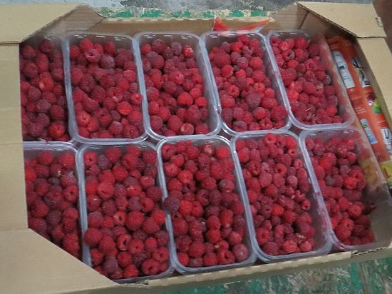 Из Украины не прекращаются попытки ввоза фруктов и овощей в Крым