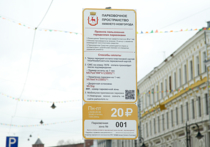 Администрация  Нижнего Новгорода  вышла к депутатам гордумы с предложением продлить тестовый режим работы платной парковки на улице Рождественская до 1 сентября 2016 года