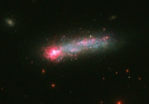 Специалисты, работающие с космическим телескопом «Хаббл», опубликовали в интернете снимок галактики, которая одним напомнит фейерверк, а другим — нечто вроде окрашенного в яркие краски невообразимых размеров головастика, плывущего по космосу