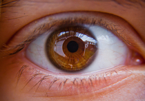 В последние годы врачи-офтальмологи все чаще сталкиваются с такой серьезной патологией, угрожающей потерей зрения, как окклюзия вен сетчатки