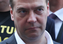 Премьер Дмитрий Медведев проинспектировал подмосковные теплицы