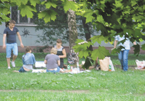 Местные городские форумы пестрят разговорами о том, где лучше устроиться на пикник с шашлыками в черте города