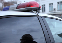 Отец шестерых детей перочинным ножом перерезал горло пожилой женщине в Наро-Фоминском районе Подмосковья