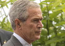 Вся Америка в страшном смятении: что случилось с 43-м президентом Соединенных Штатов Джорджем Бушем-младшим, устроившим веселые танцы на мемориальной службе, посвященной памяти расстрелянных в Далласе пяти полицейских? Психолог
