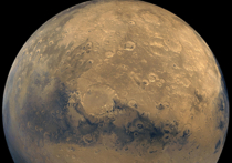 Планетолог Альфред МакИвен, сотрудник Аризонского университета и американского аэрокосмического агентства NASA, заявил, что на Марсе вполне могут обитать примитивные формы жизни