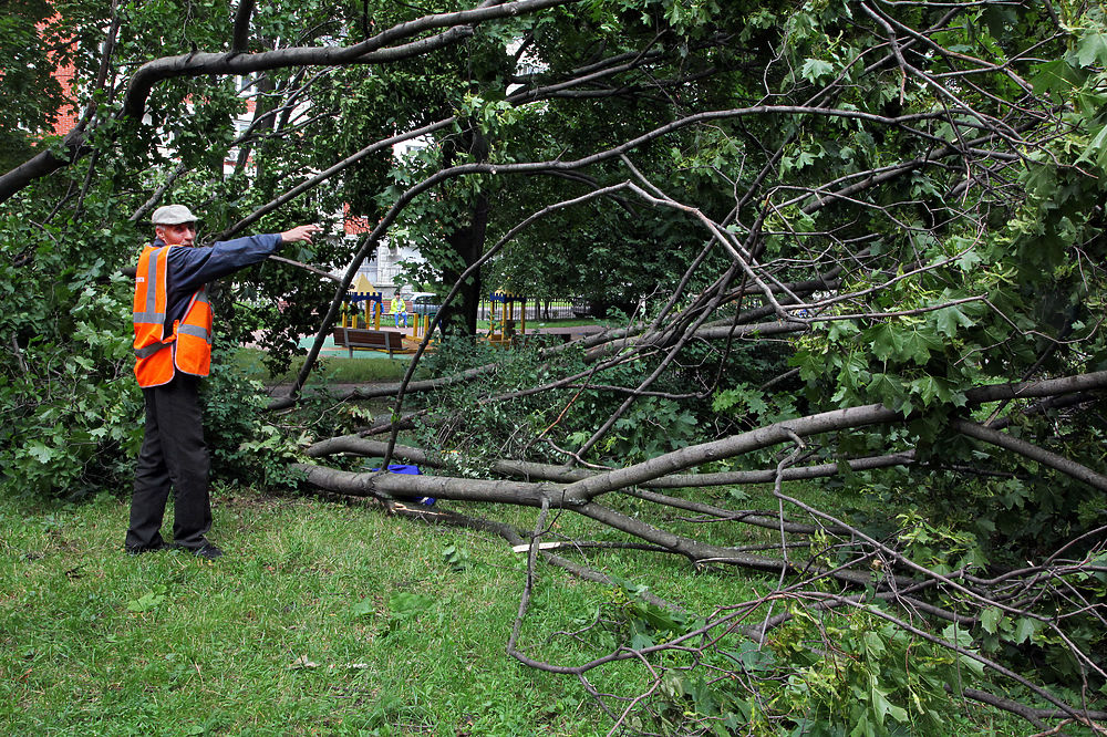 Последствия страшной грозы в Москве: ураган повалил более 1000 деревьев