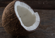 Идея родилась после того, как представители университетов Фрейбурга, Тюбингена и Штуттгарта провели тщательное исследование оболочки кокосового ореха