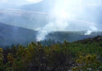 В Иркутской области в связи со стабилизацией лесопожарной обстановки снят режим чрезвычайной ситуации, который был введен в регионе с 15 июня