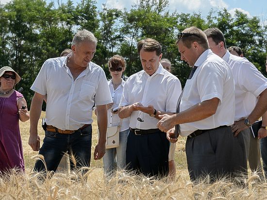 Губернатор оценил развитие Подгоренского района и спрогнозировал урожай области