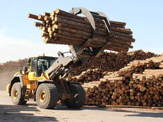 Лесоперерабатывающая компания из Усть-Кута будет разрабатывать северные лесосеки 