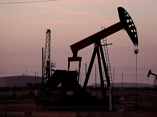 Американские инвесторы назвали нового фаворита мирового нефтяного рынка