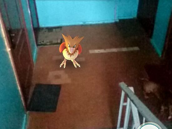 Все плюсы и минусы нового увлечения молодежи взвесили наши корреспонденты