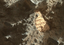 Рассматривая снимки, которые прислал на Землю марсоход Curiosity, уфолог Скотт Уоринг обнаружил очертания морских раковин, которые могли бы принадлежать древним обитателям Красной планеты