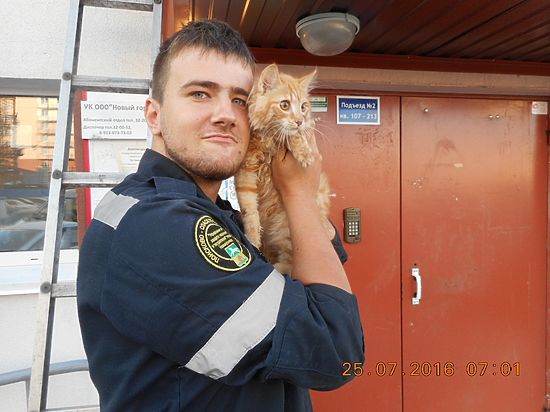 В Новокузнецке маленького кота спасли из бед
