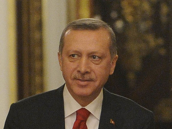 Точную дату и место визита главы Турции назвал ее вице-премьер