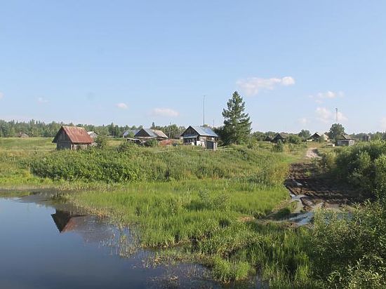 Томские общественники считают, что корректировка генплана поселка Калтай приведет к массовой вырубке леса под застройку коттеджами и еще большему обмелению Томи