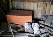 Восьмилетний мальчик и семилетняя девочка, пропавшие шесть дней назад при загадочных обстоятельствах в селе Турочак, были обнаружены мертвыми в гараже соседнего дома