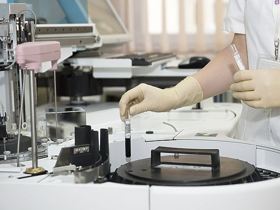 Об этом сообщила глава Роспотребнадзора, рассказывая об эпидемиологической ситуации в Бразилии