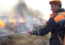 В 2016 году Рослес приобрел оборудование для тушения пожаров на 76 миллиардов рублей, при этом оно оказалась абсолютно бесполезным