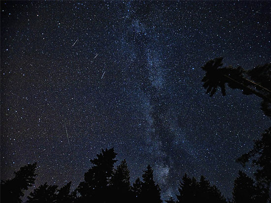 Международная метеоритная организация предупредила об увеличении количества падающих «звезд»