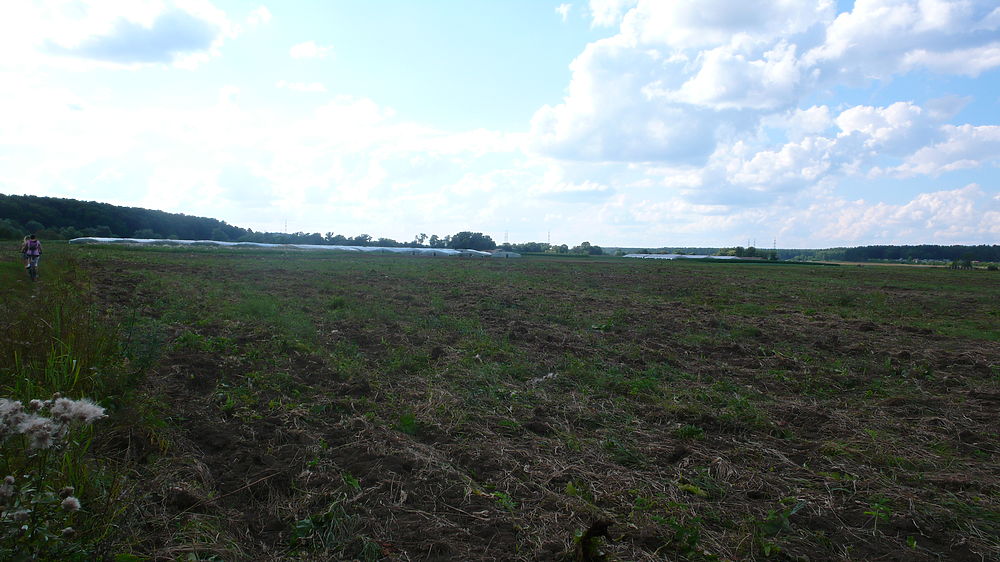 Калужская ферма продолжает загрязнять берег Протвы