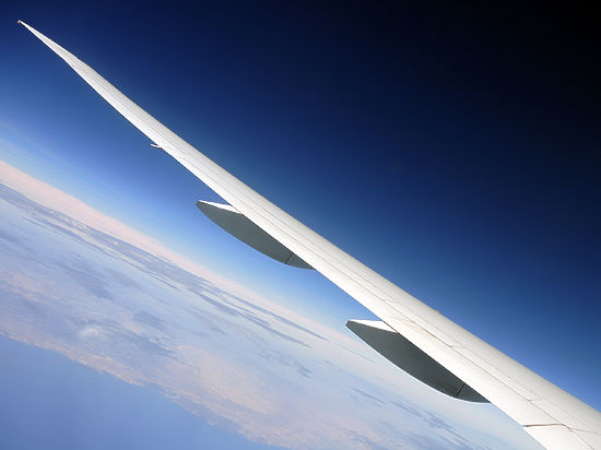 Испуганные люди потребовали остановить воздушное судно