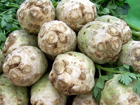 «МК» собрал народные рецепты, как пережить самый жаркий день лета