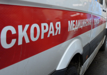  Малолетняя дочь выходцев из Узбекистана погибла под колесами грузовика в Подмосковье