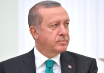 Анкара готова незамедлительно приступить к реализации проекта строительства газопровода «Турецкий поток», заявил президент Турции Реджеп Эрдоган