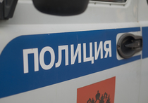В Московской области следователи возбудили уголовное дело по статье «Убийство» после пропажи три дня назад шестилетней девочки в городе Озеры