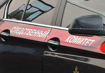 В Красноярском крае следователи возбудили уголовное дело против сотрудника детского лагеря "Сокол"