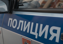 Абсолютно немотивированное на первый взгляд нападение на сотрудников ГИБДД было совершено в среду днем в Московской области
