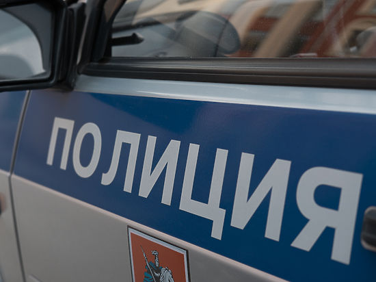 «МК» выяснил неизвестные подробности нападения на стражей порядка в Подмосковье