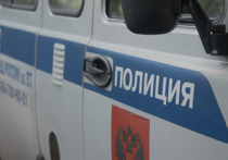 Схрон боевого оружия и взрывчатых веществ обнаружен силовиками на окраине города Сергиева Посада Московской области